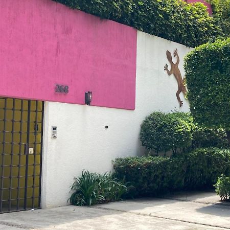 Hostal Cuija Coyoacan Berlin 268 Coyoacan Mexico City Luaran gambar