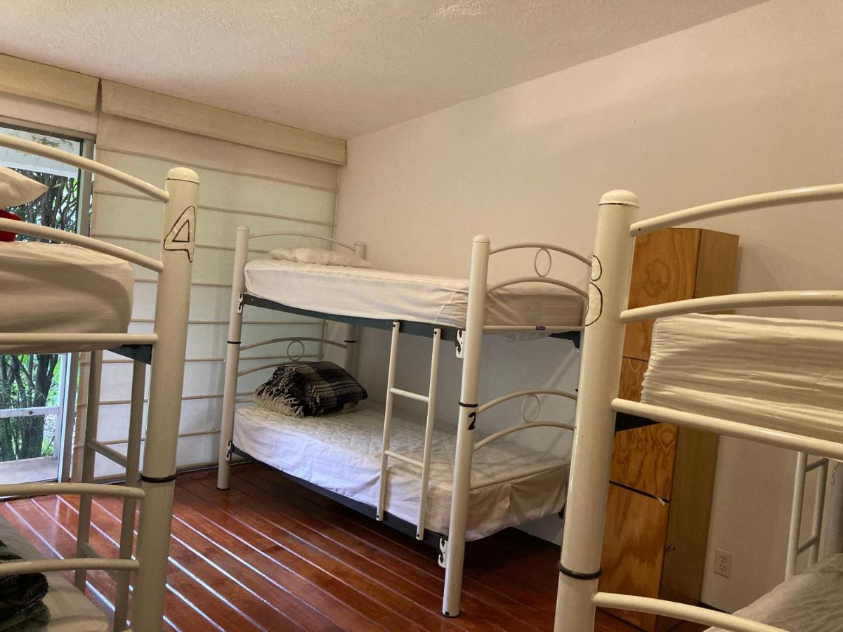 Hostal Cuija Coyoacan Berlin 268 Coyoacan Mexico City Luaran gambar