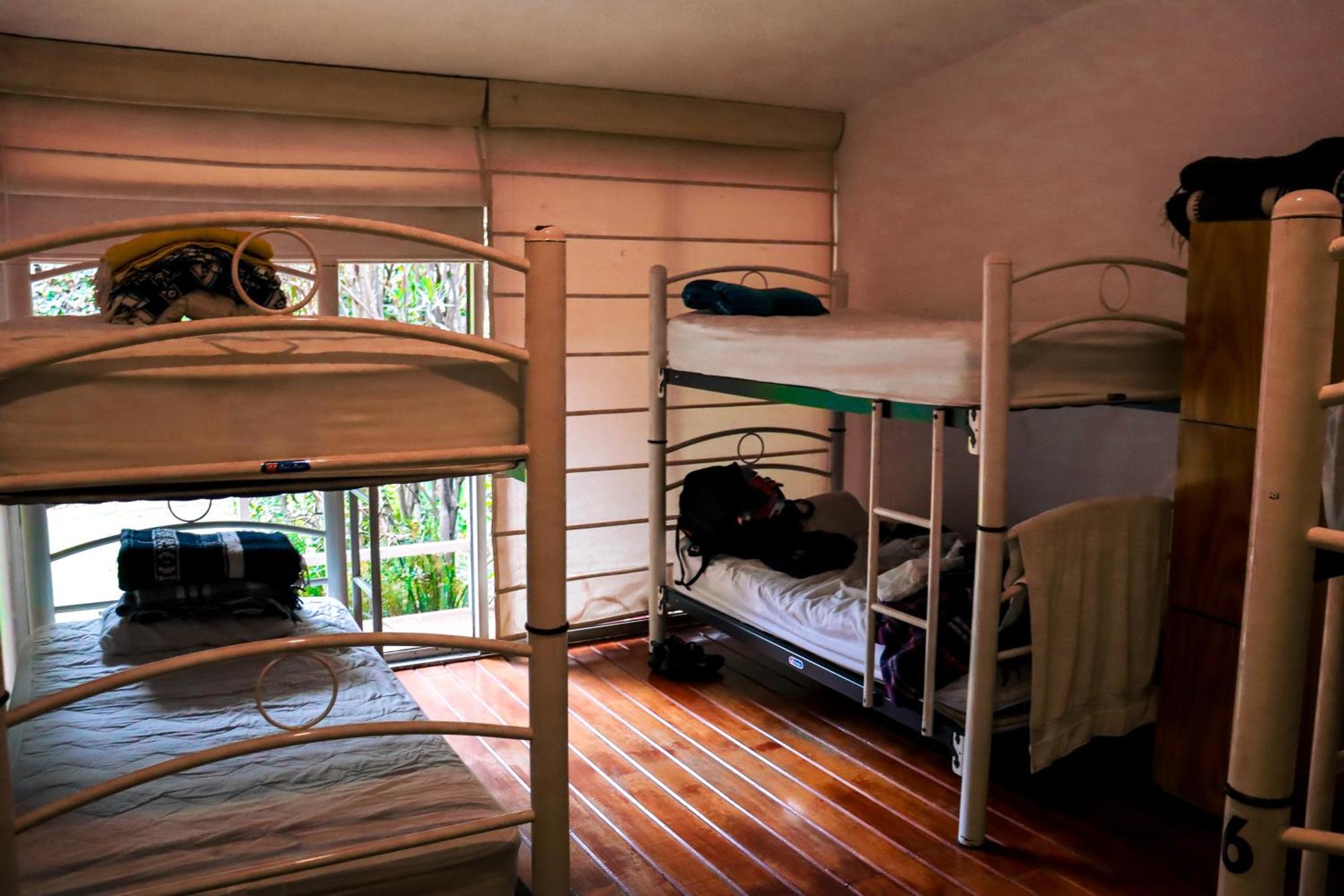 Hostal Cuija Coyoacan Berlin 268 Coyoacan Mexico City Luaran gambar