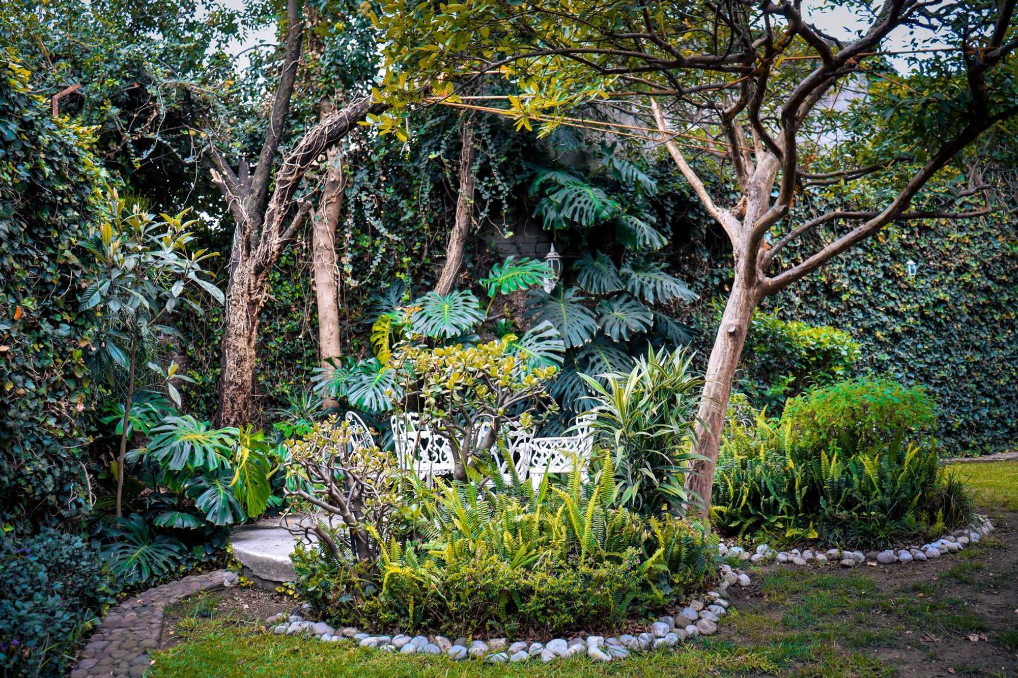 Hostal Cuija Coyoacan Berlin 268 Coyoacan Mexico City Luaran gambar