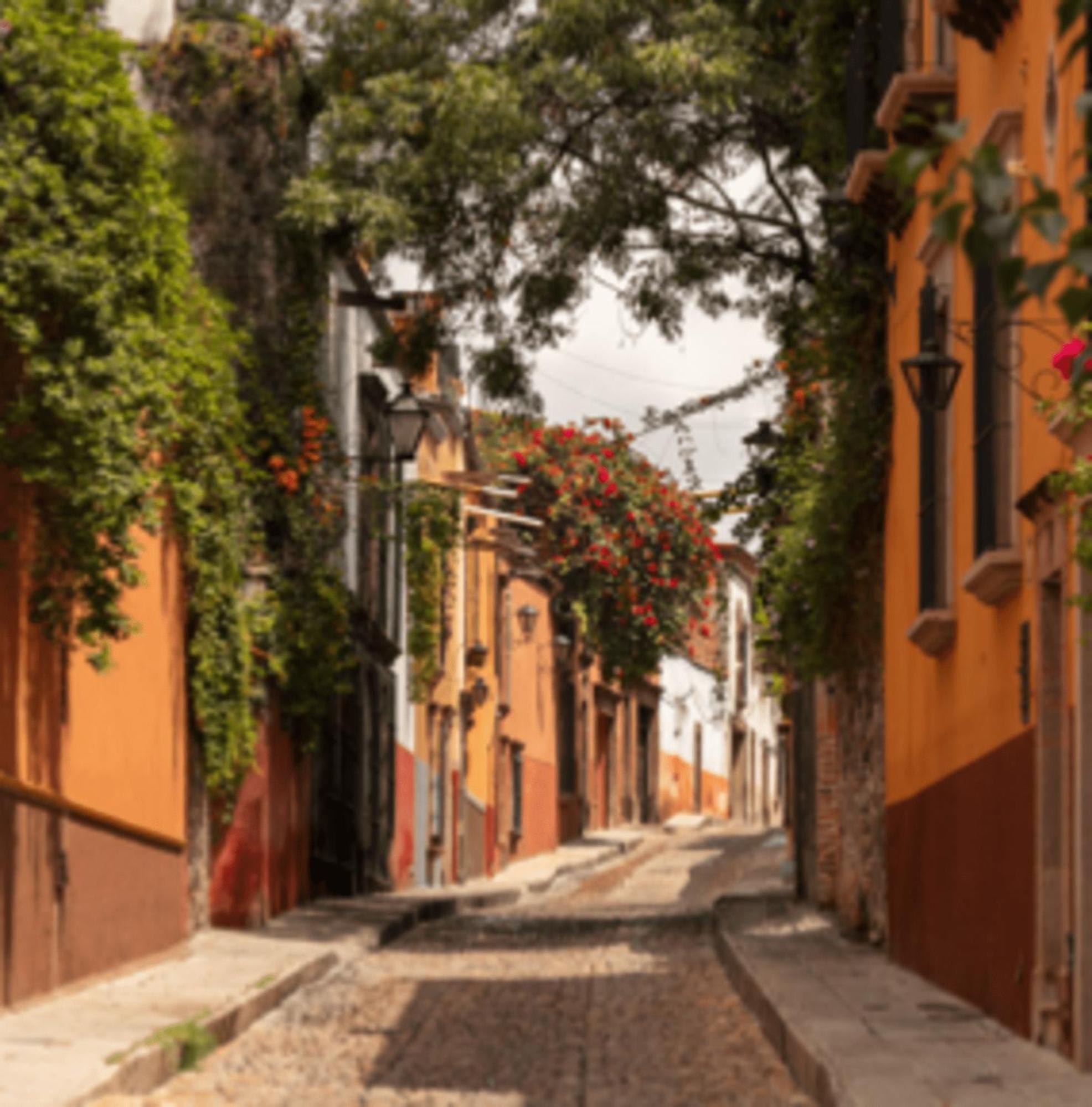 Hostal Cuija Coyoacan Berlin 268 Coyoacan Mexico City Luaran gambar